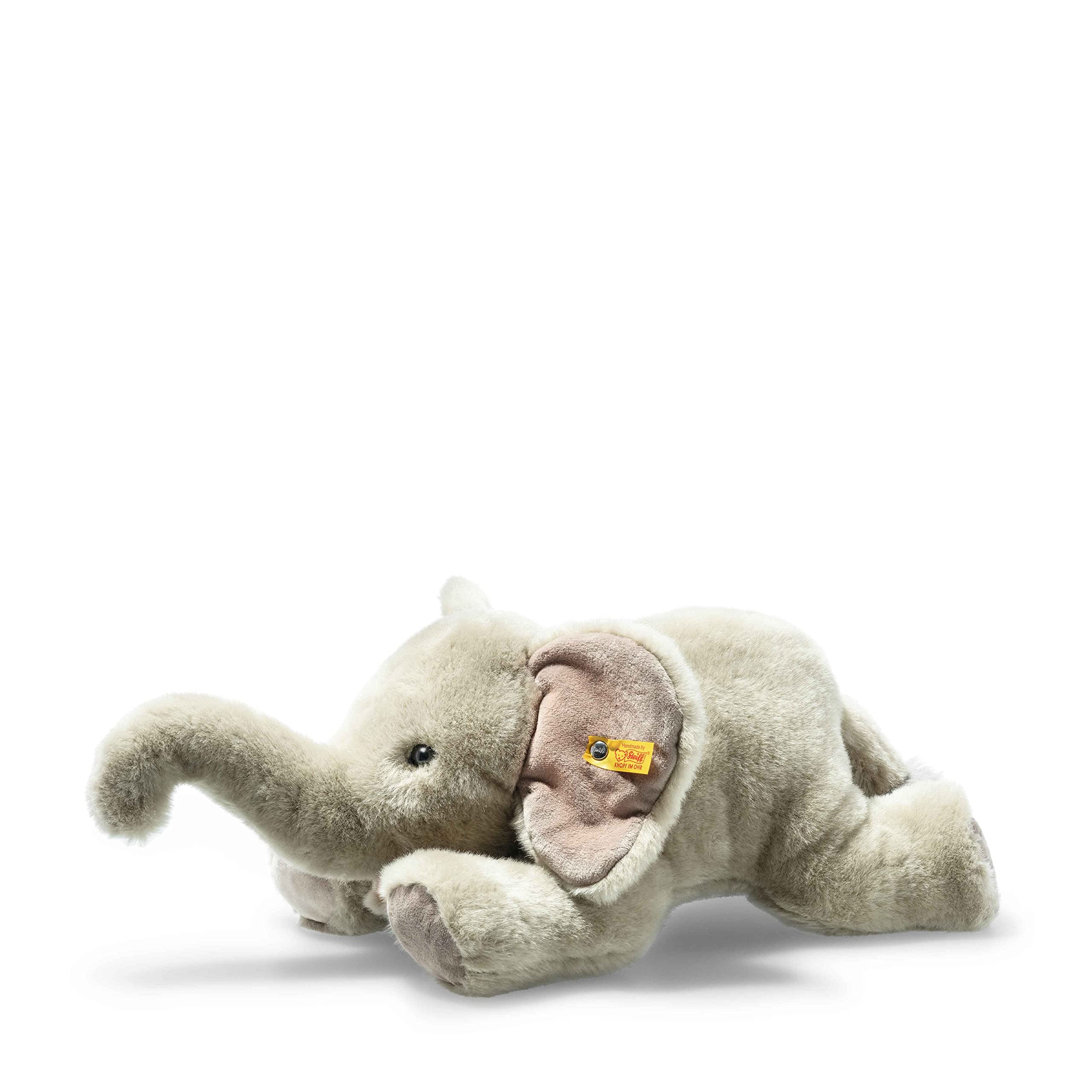 Wild Animals & Dinosaurs
